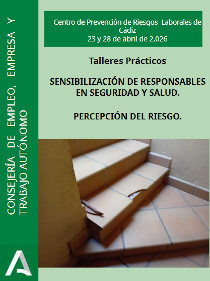 Talleres prácticos. Sensibilización de responsables en seguridad y salud. Percepción del riesgo