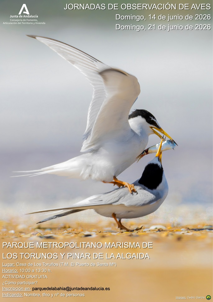 Los Toruños celebra el Día Mundial de las Aves Migratorias