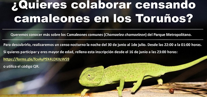 Los Toruños retoma los 'Martes camaleónicos'