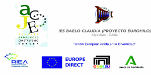 XX Premio “Jóvenes Andaluces Construyendo Europa” (JACE 2026...