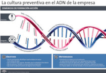 La cultura preventiva en el ADN de la empresa