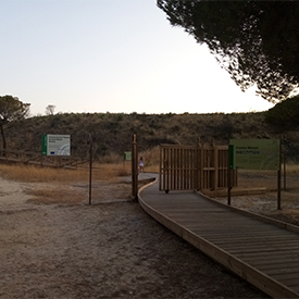 Proyecto Cuesta Maneli, fotografía 1