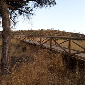 Proyecto Cuesta Maneli, fotografía 4