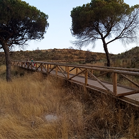 Proyecto Cuesta Maneli, fotografía 5