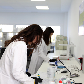 Proyecto Phytovacunas, Foto 1