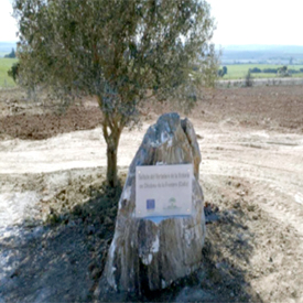 Entorno Vertedero Victoria 8