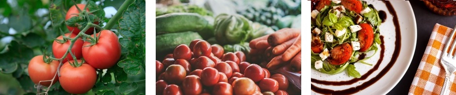 Cadena alimentaria