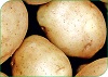 Reglamento Específico de Producción Integrada de Patata
