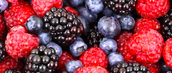 Producción Integrada de Berries