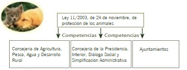 Competencias animales de compañía