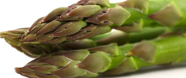 Producción Integrada de Espárrago verde