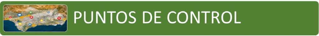 Puntos de Control PAVFC