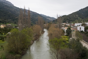 Demarcación 1