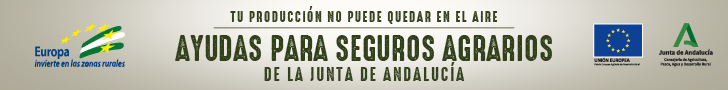 banner campana 2024