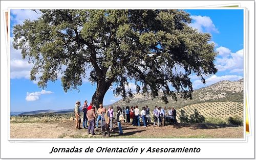 Jornadas de orientación y asesoramiento