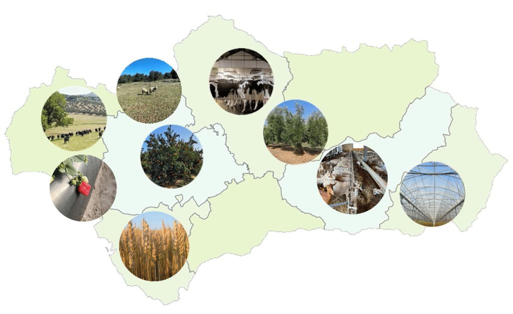 mapa4