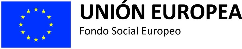 logo fse