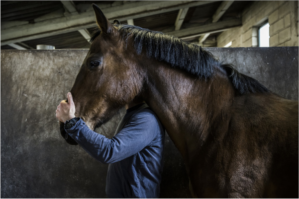 La fotógrafa Nuria López Torres retrata el estado de la salud mental en España en 'Las curvas de la mente' en el Centro Andaluz de la Fotografía fotografia de caballo